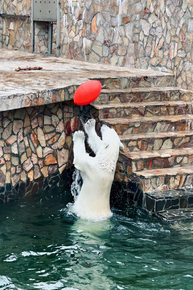 Photograph by Никита Петров