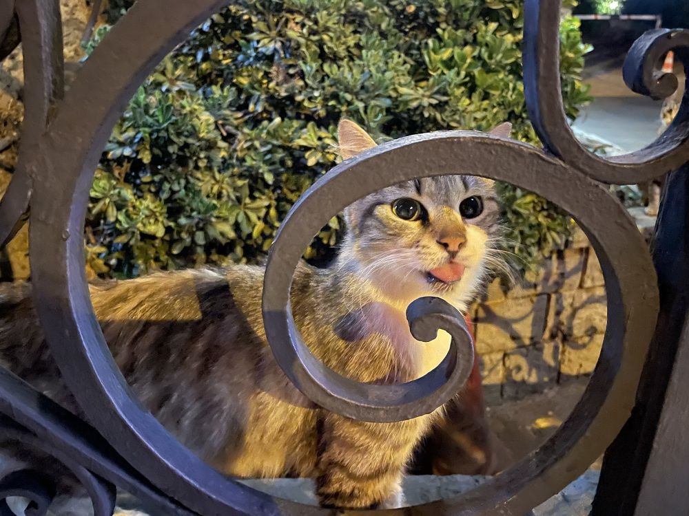 Photograph by Марина Дикманн