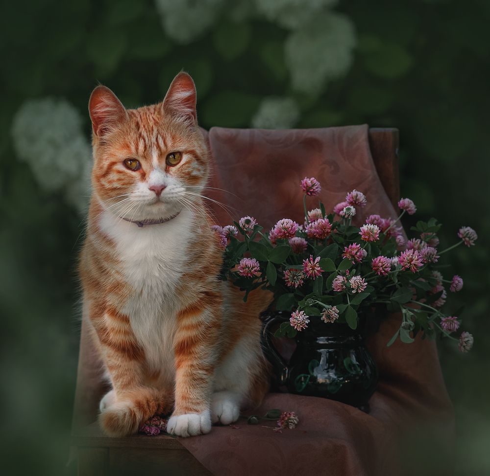 Photograph by Елена Басова