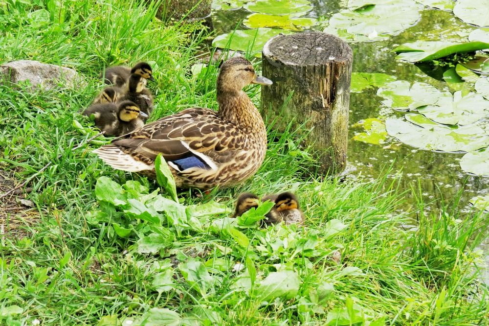 Photograph by Елена Казарина