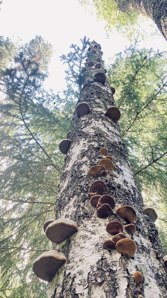 Photograph by Аркадий Каллистов