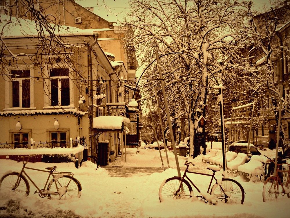 Photograph by Дмитрий Соколов