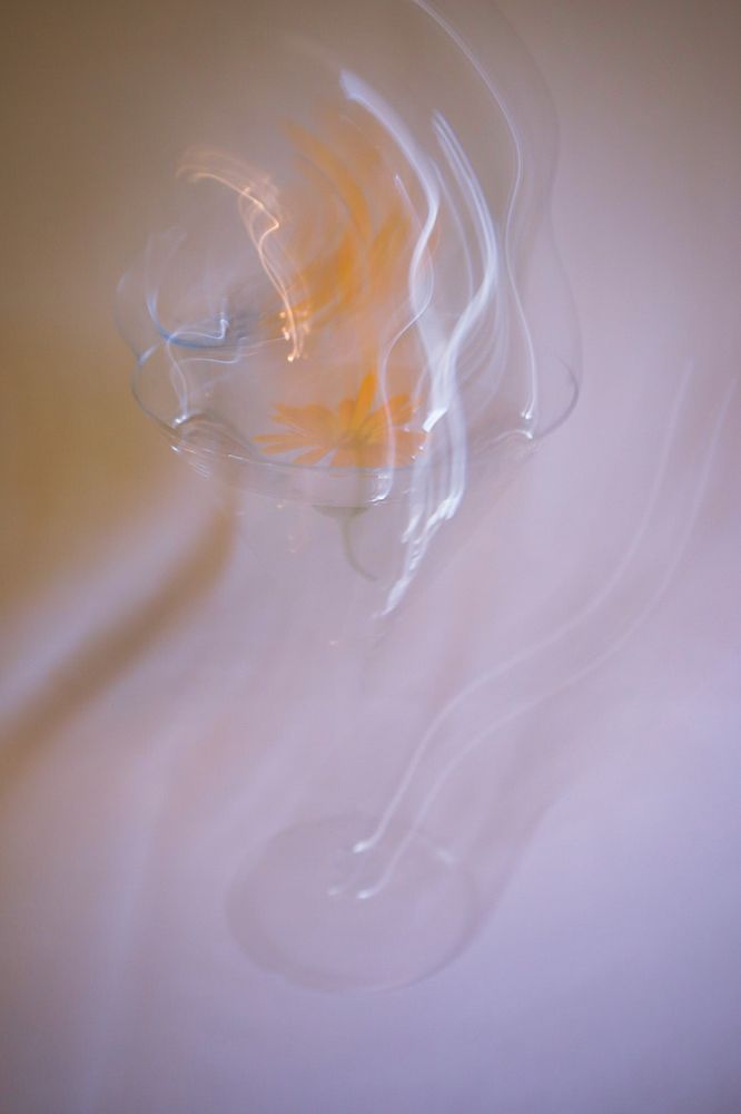 Photograph by Milena Paile