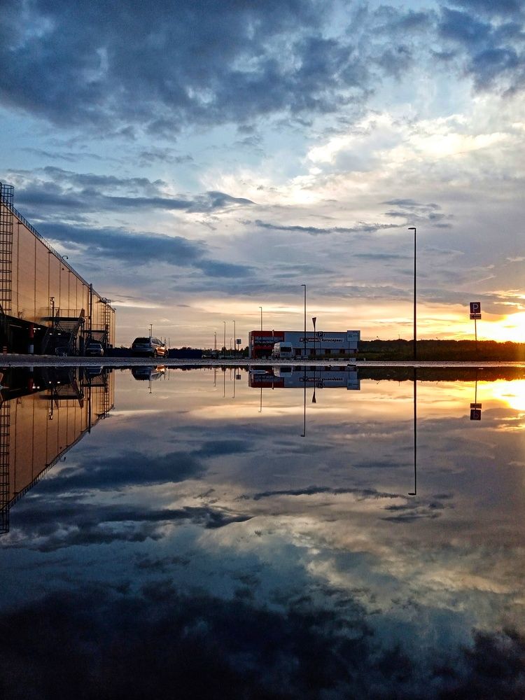 Photograph by Эльза