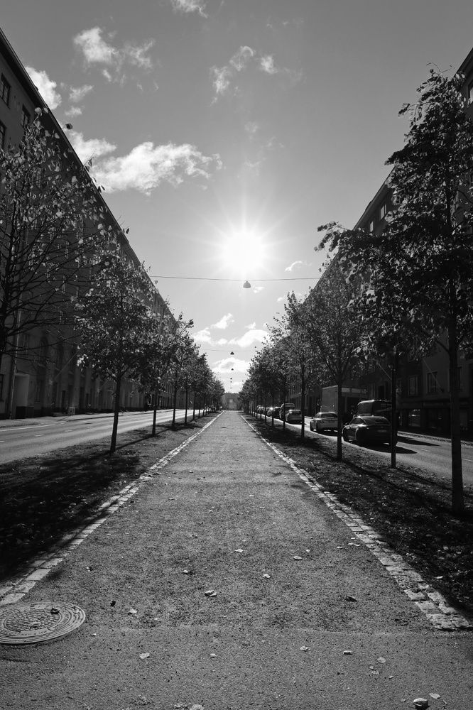 Photograph by Milena Paile