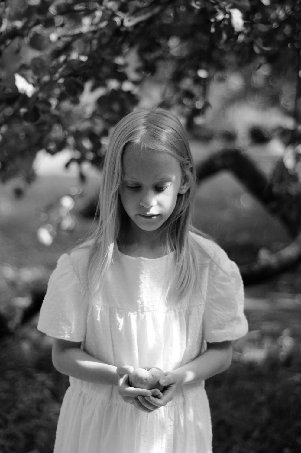 Photo #9402681