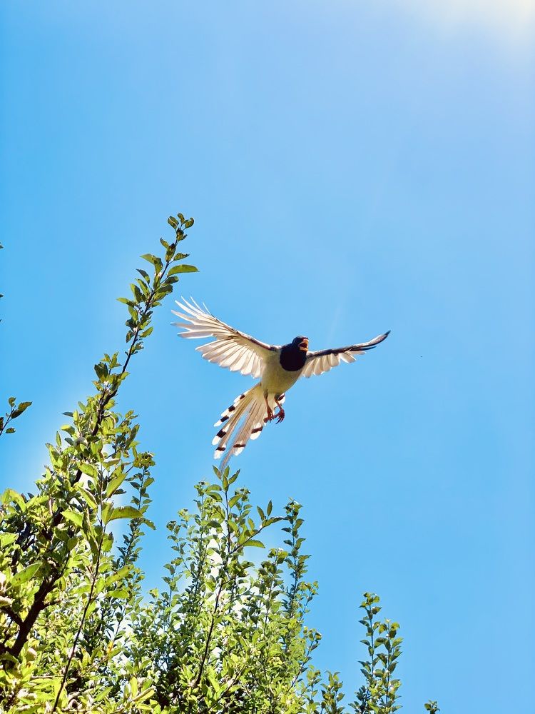 Photograph by Mohammad Aamir