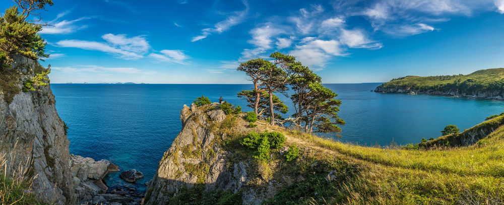 На гребне волны