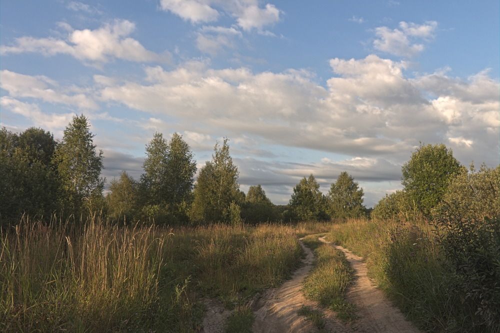 Фотография автора Бронислав Краснер