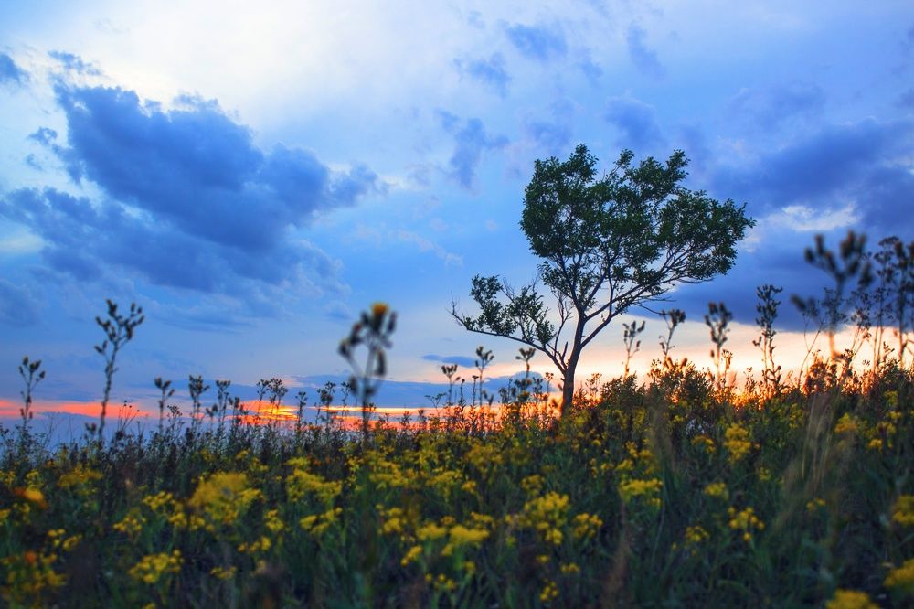 Photograph by Юлия Серазетдинова