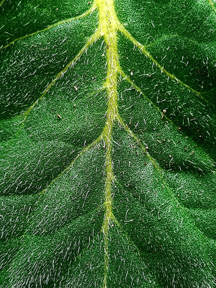 Photograph by Елена Ласун