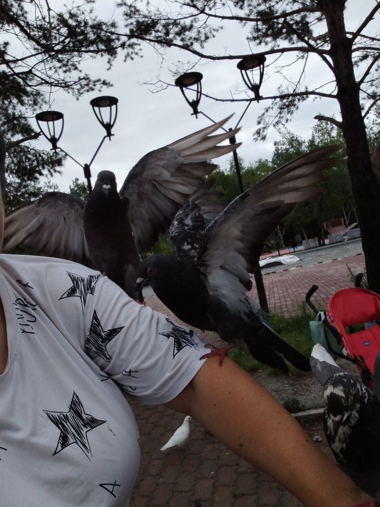 Photo #9402852