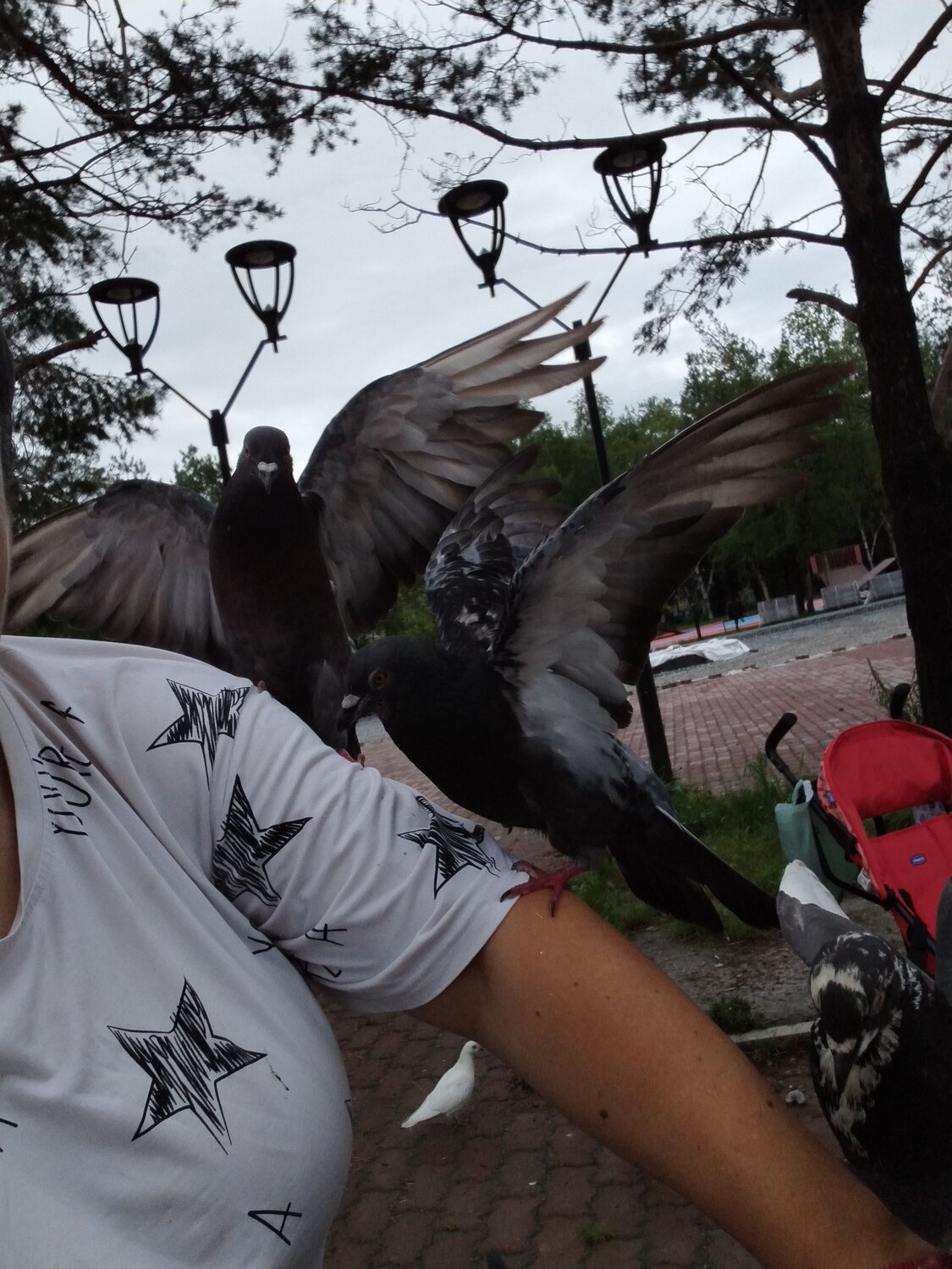 Photo #9402852