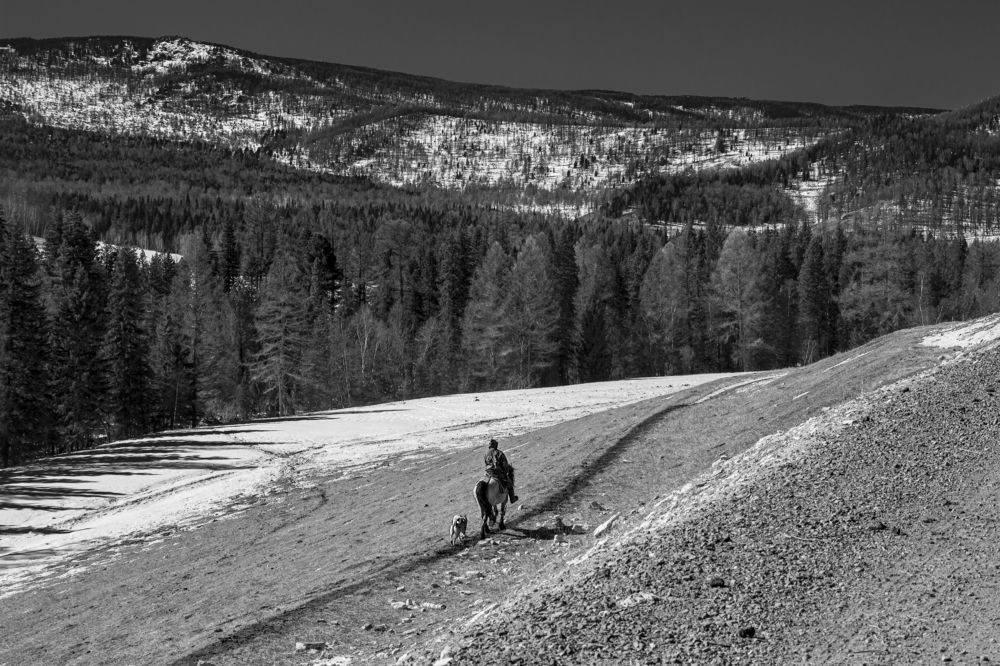 Photograph by Елена Павлова