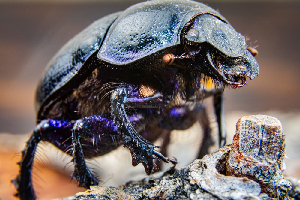 Photograph by Александр Третьяков