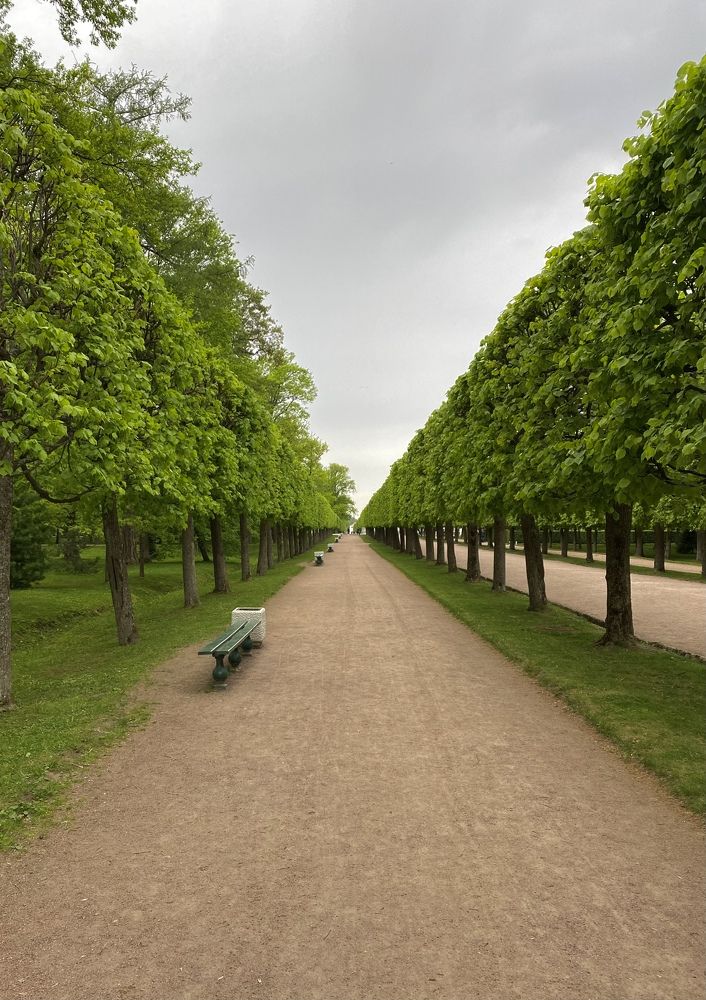 Фотография автора Татьяна Перминова