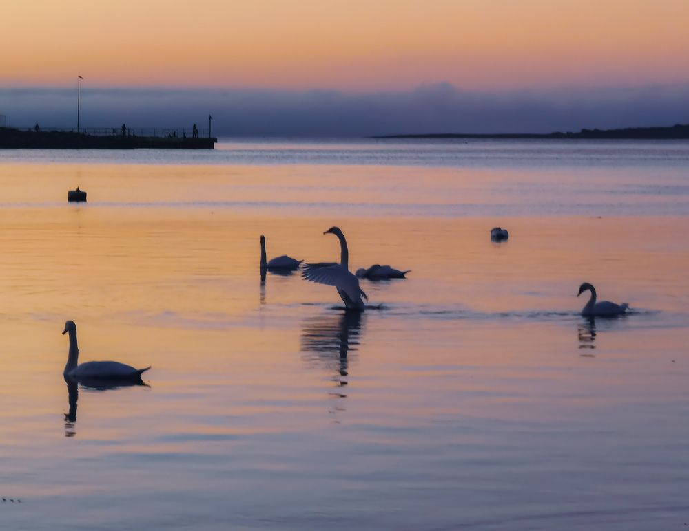 Photograph by Michael Deligan