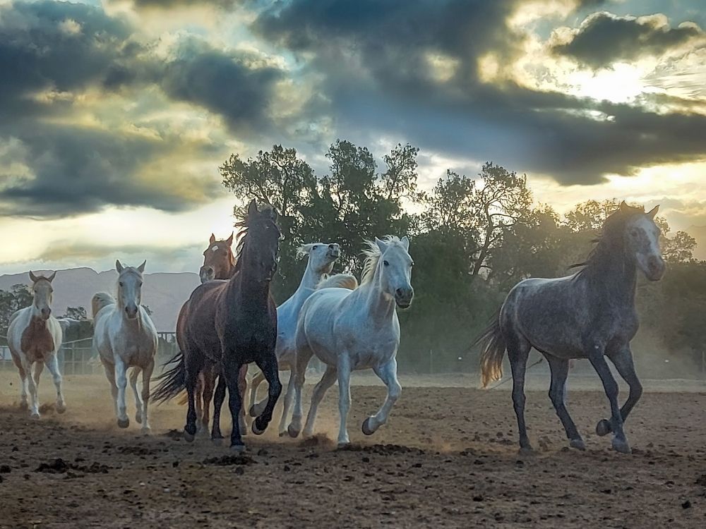 Photograph by esti lahat