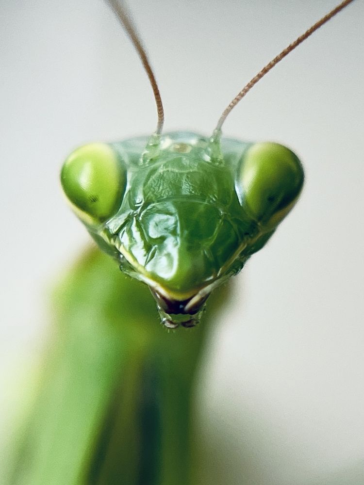 Фотография автора Александра Евченко