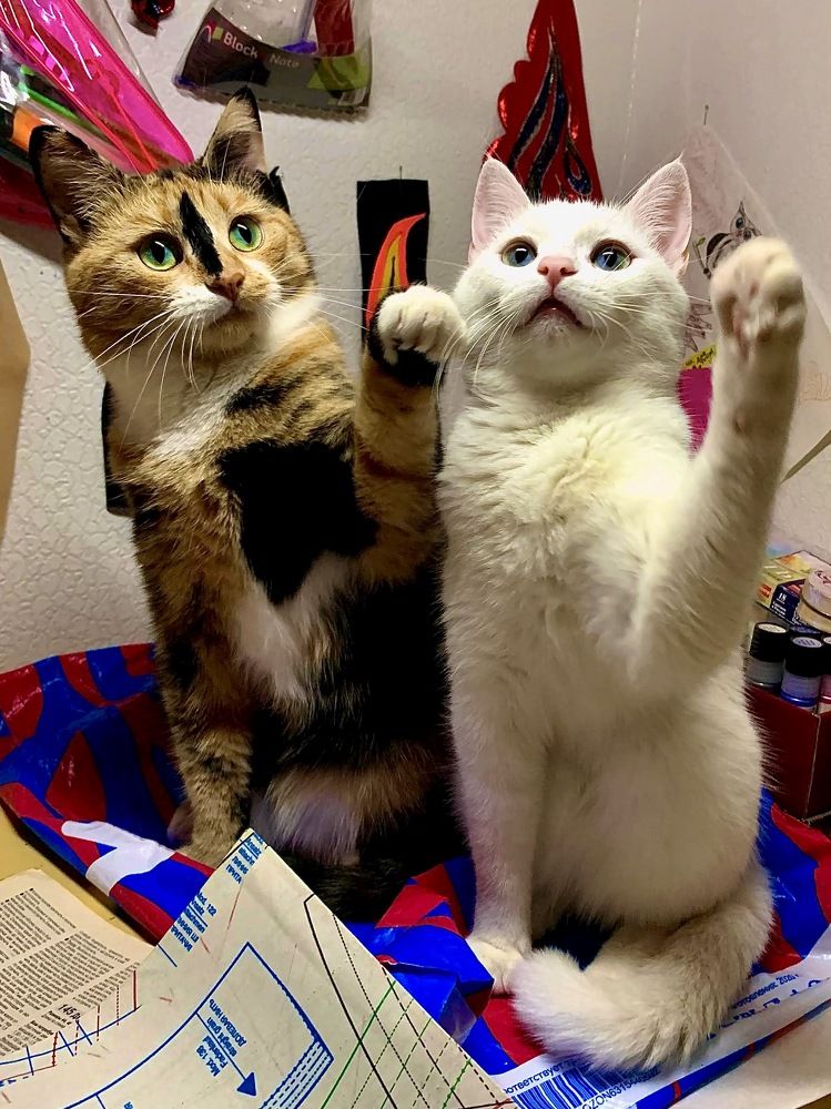 Photograph by Ольга