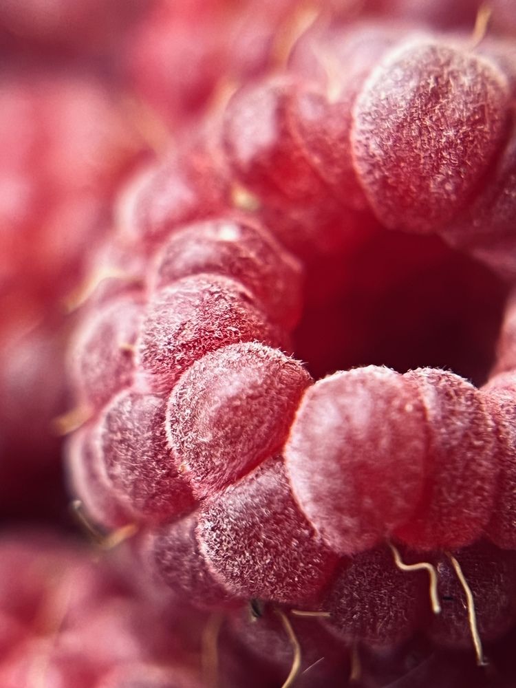 Фотография автора Александра Евченко