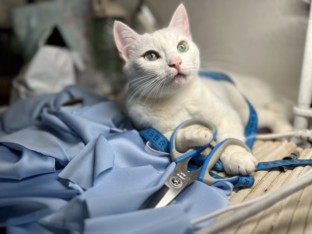 Photograph by Ольга