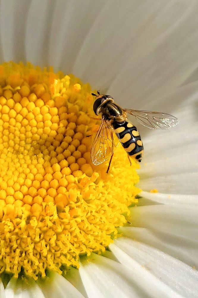 Photograph by Marina Gritchina