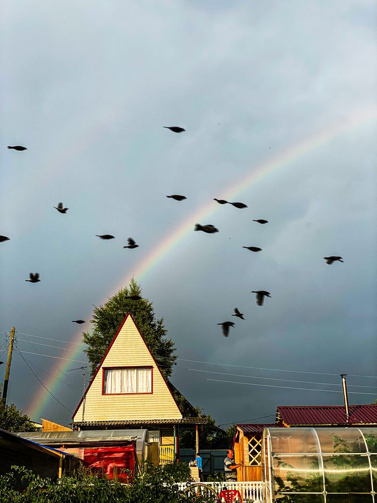 Photograph by Владислава Игошина