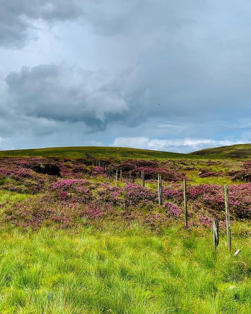 Photograph by Maria Dzene