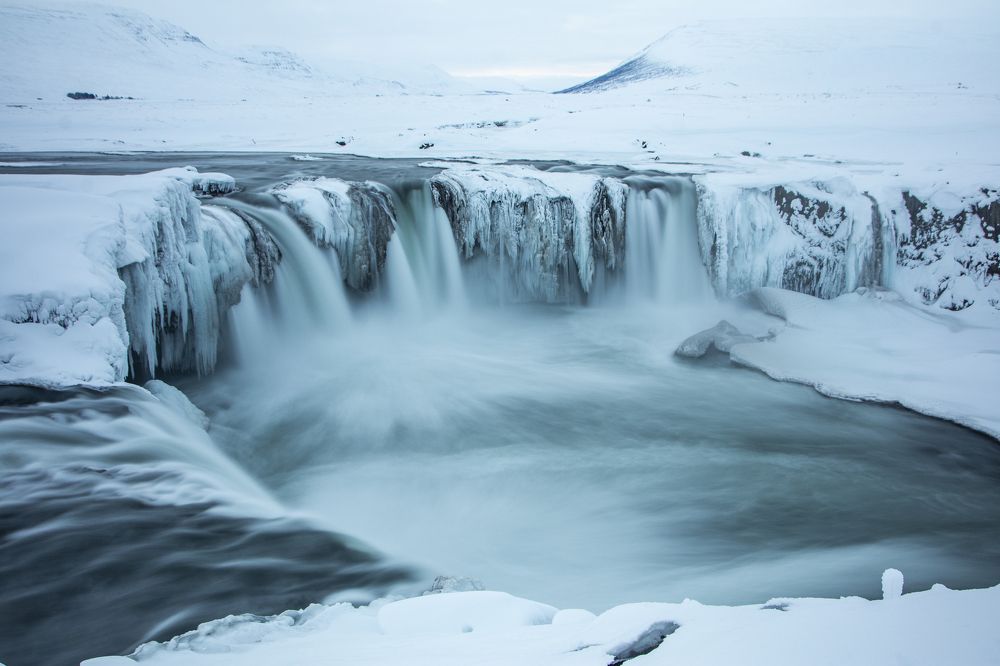 Photograph by Cristina Bobe