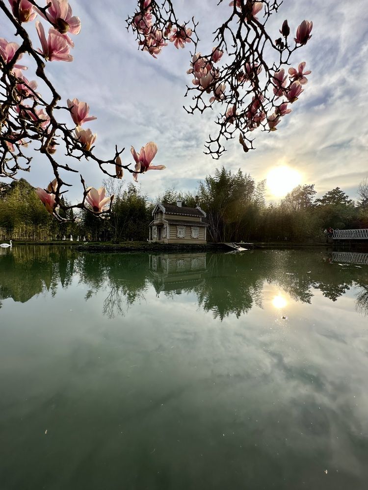 Photograph by Анастасия Рабочева