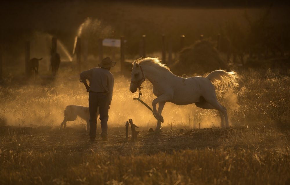 Photograph by Shahrokh Tammehr