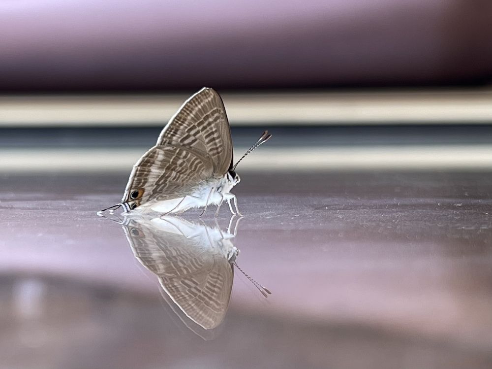 Photograph by Evgenia Barinova