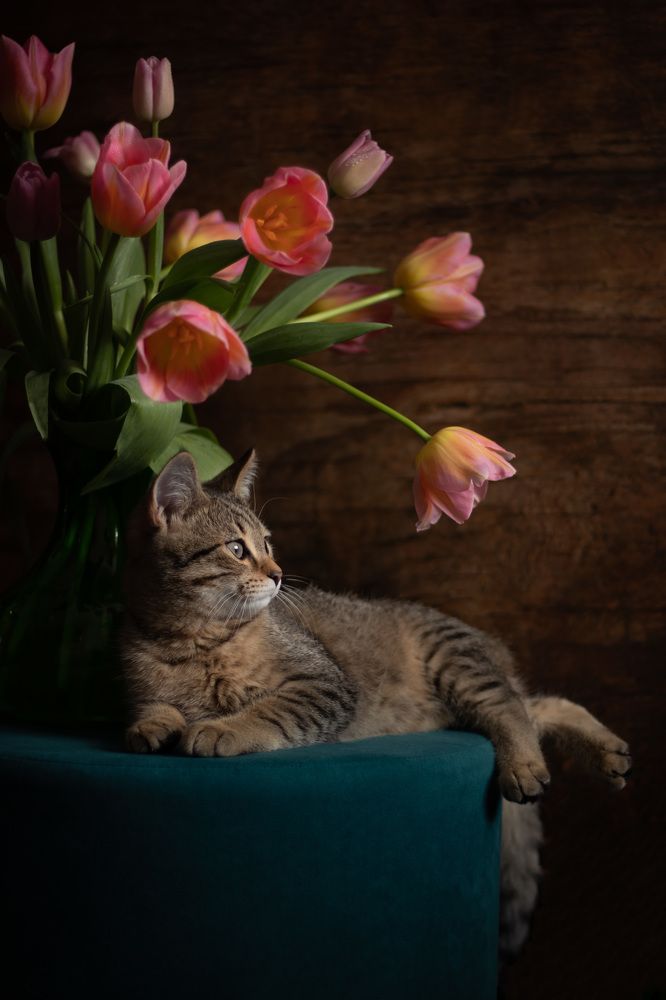 Photograph by Елена Мелихова