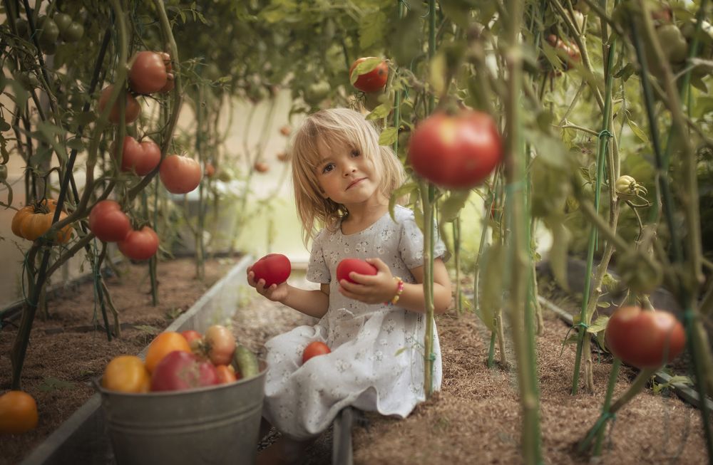 Photograph by Валентина Тарасова