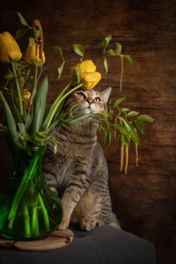 Photograph by Елена Мелихова