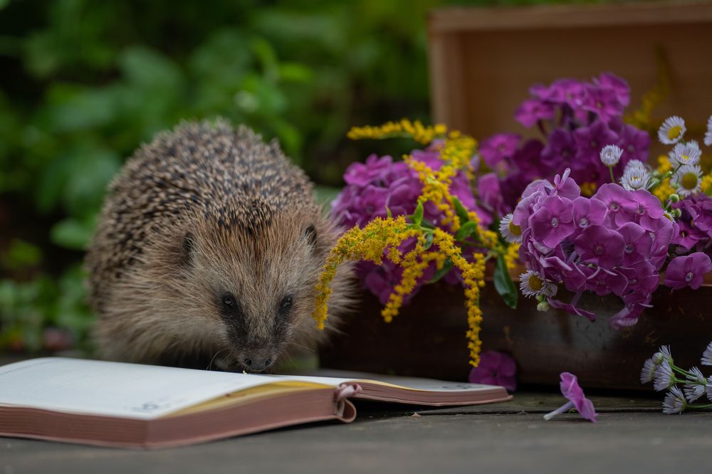 Photograph by Олеся Владимирова