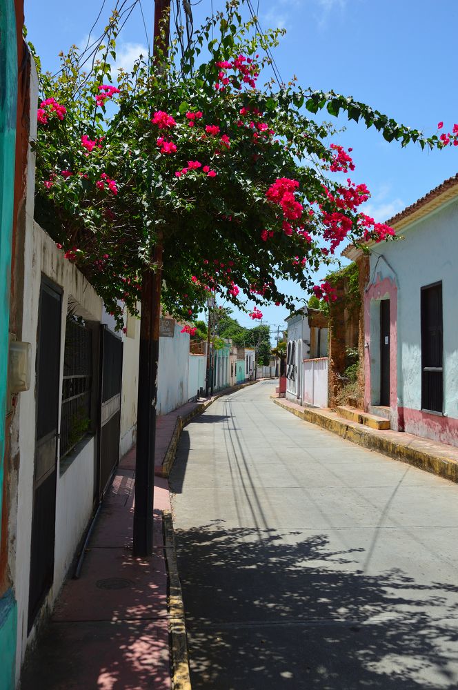 Photograph by Kirill E.