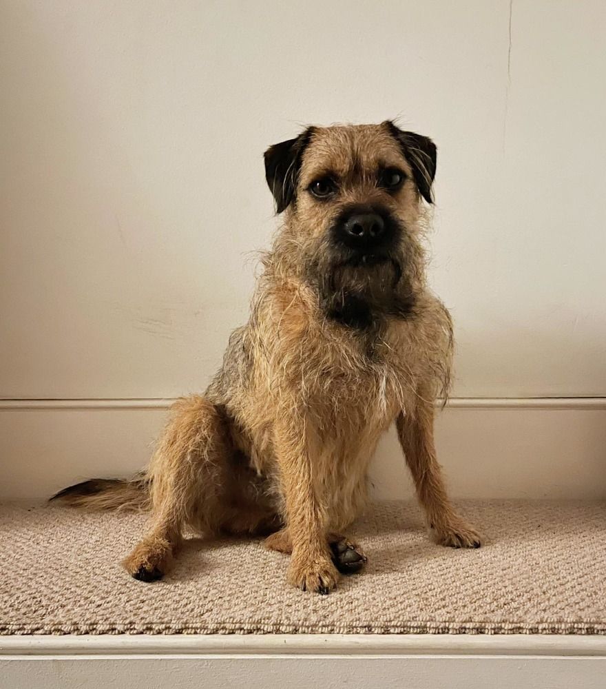 Photograph by zsolt berend