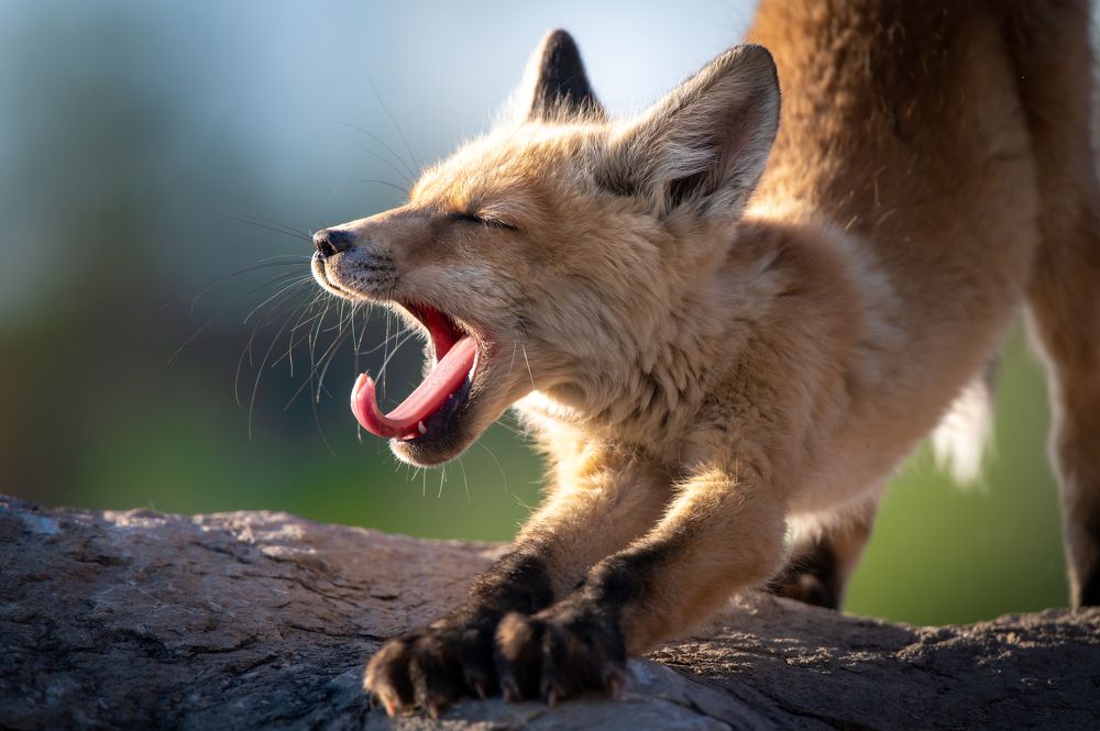 Photograph by Бочкарев Евгений