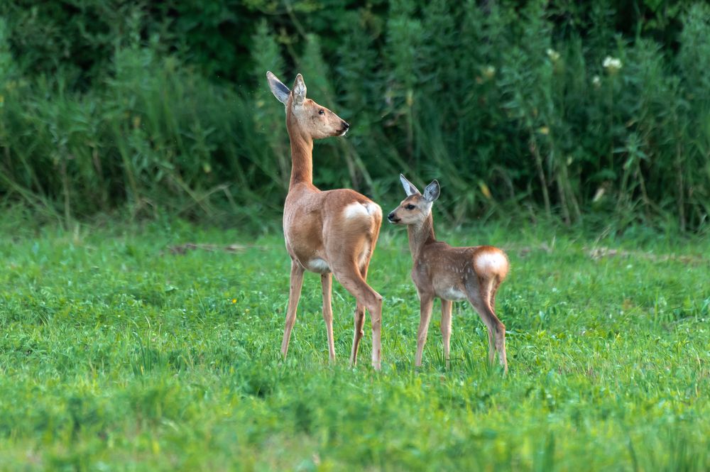 Photograph by Бочкарев Евгений