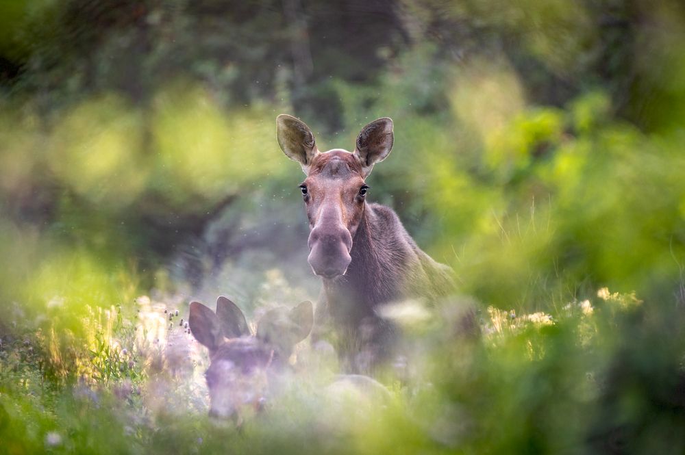 Photograph by Бочкарев Евгений