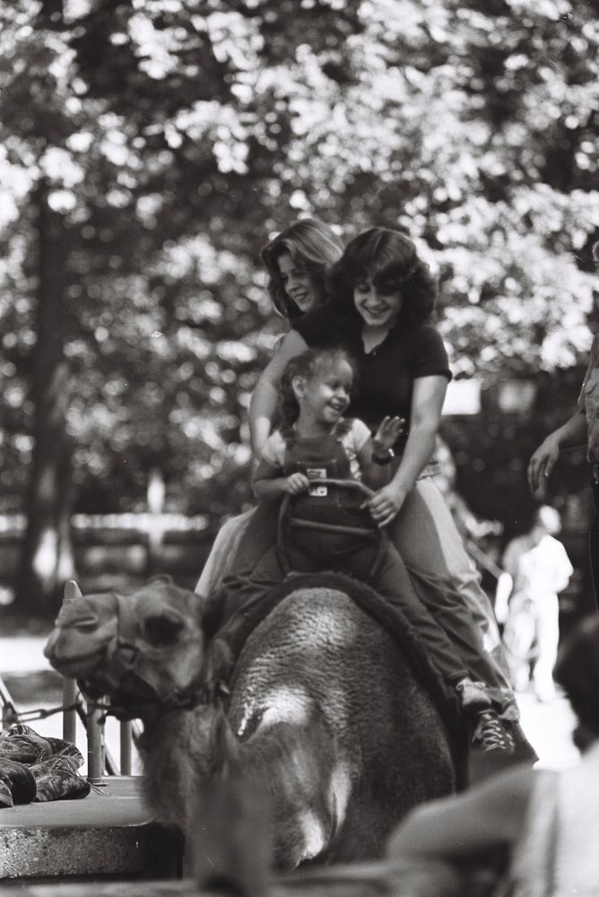 Photograph by Paul Bowers