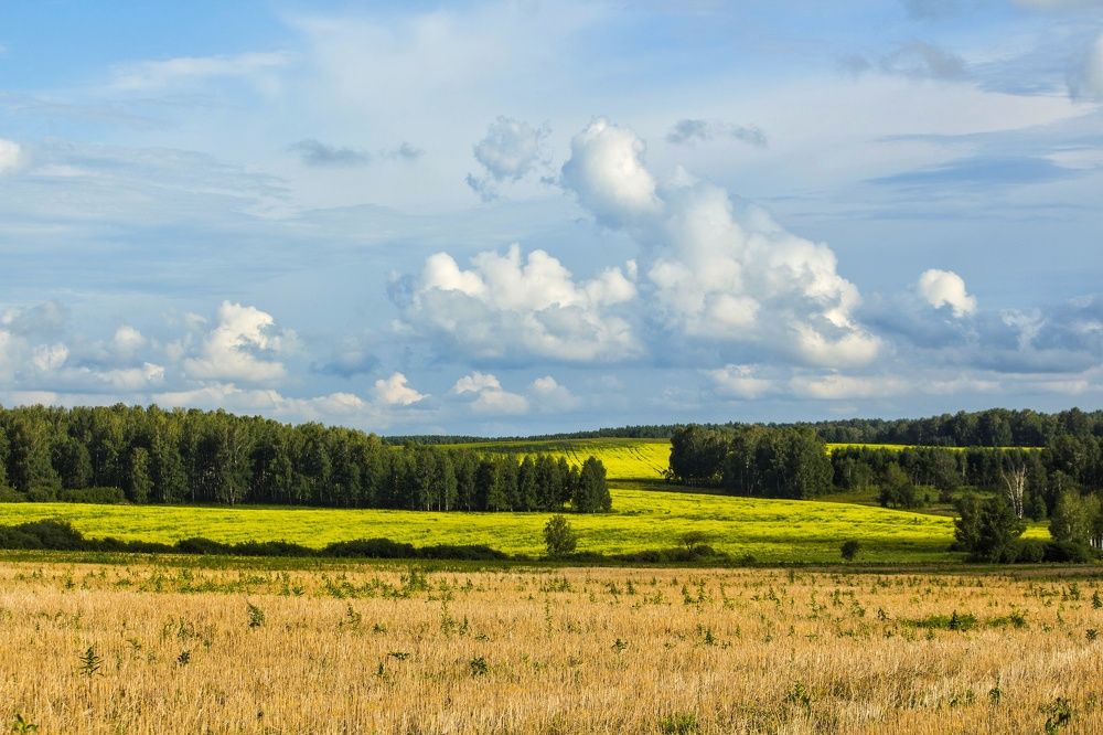 Photograph by Юлия Серазетдинова