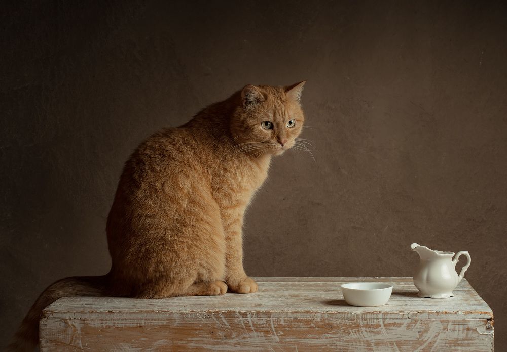 Photograph by Анжелика Костин