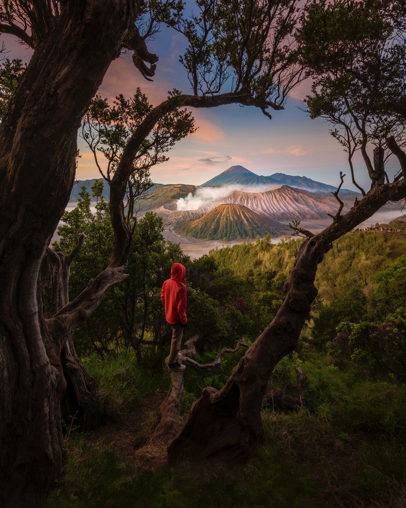 Photograph by Wahid Hasyim