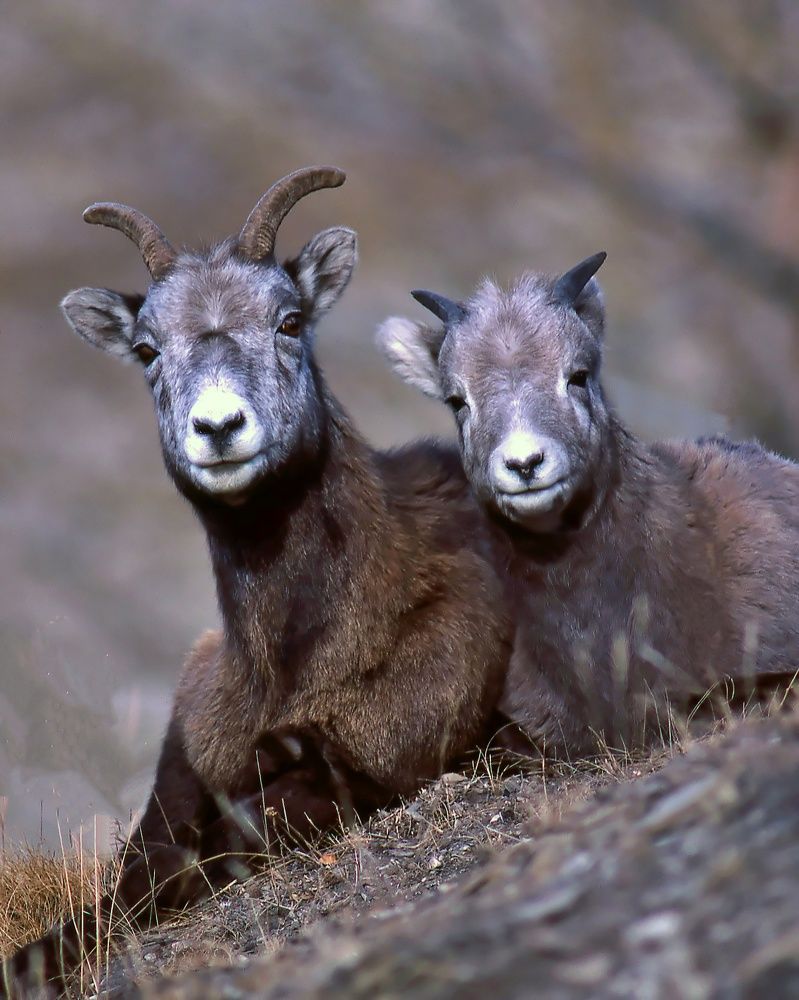 Photograph by Mike MacLean