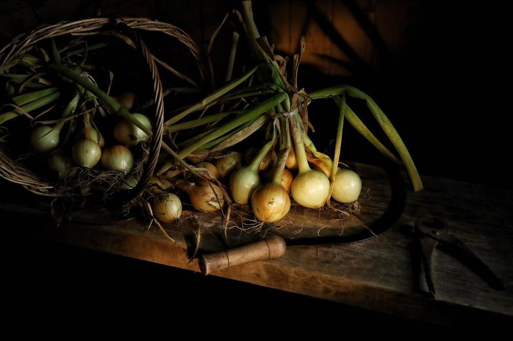 Photograph by Angelica Medvedeva