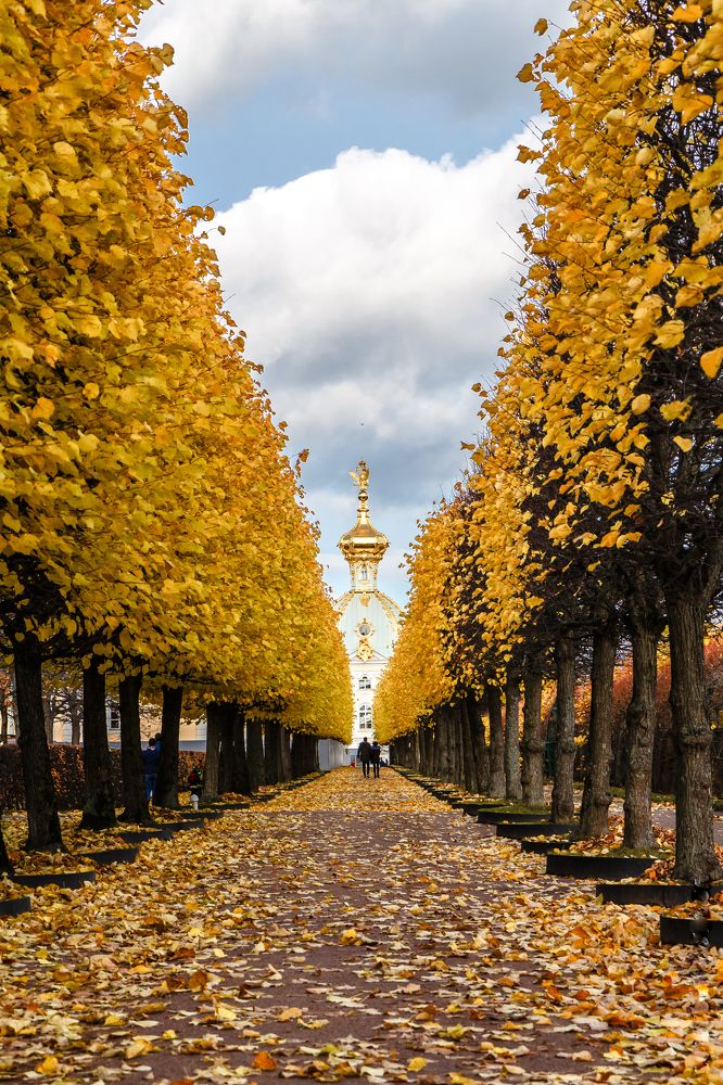 Photograph by Вадим Маслов