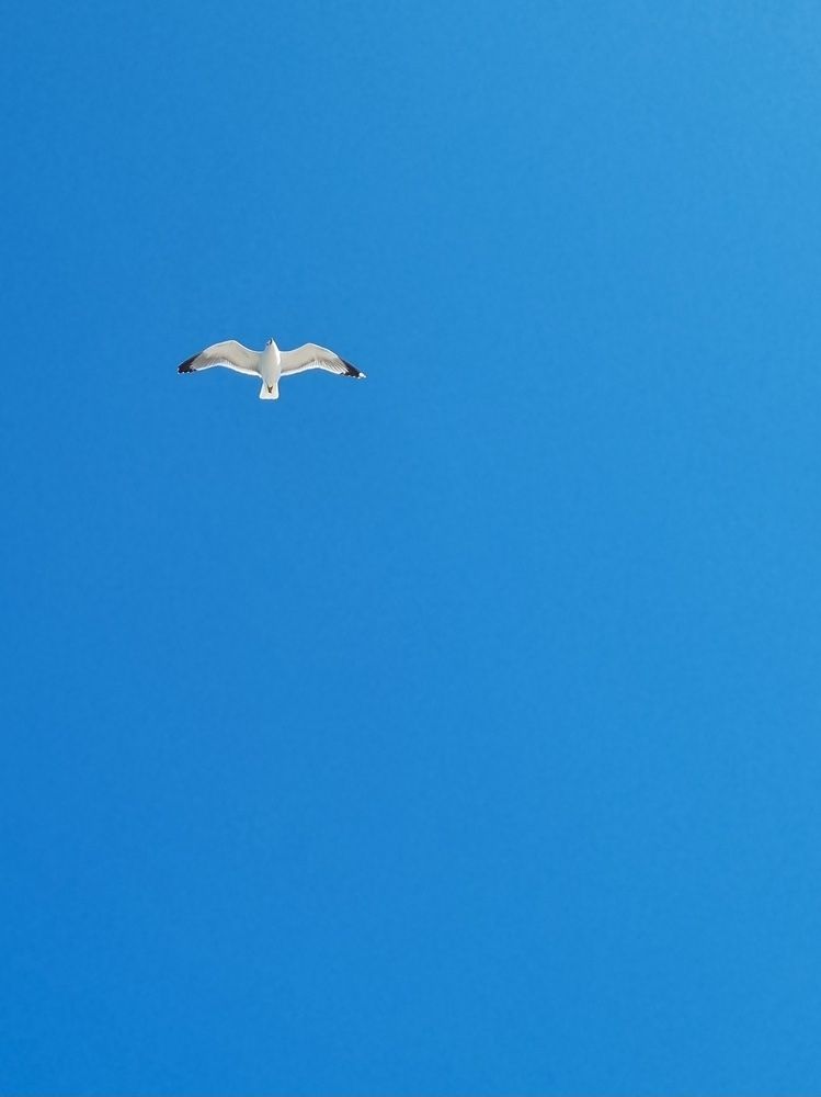 Photograph by Hanna Bourne